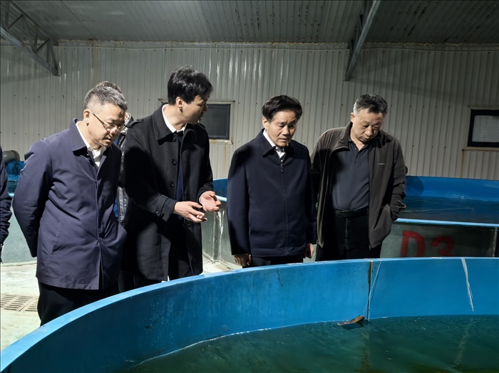 调研照片.jpg 